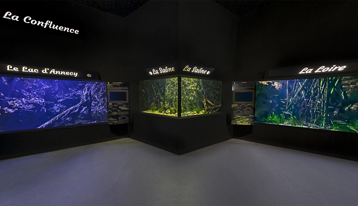 Aquarium de Lyon, exemple of Virtual Tour for Museum.